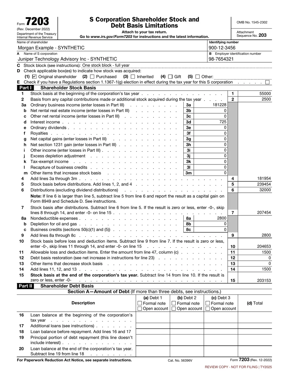 Actual synthetic Form 7203 showing shareholder stock and debt basis limitation information.